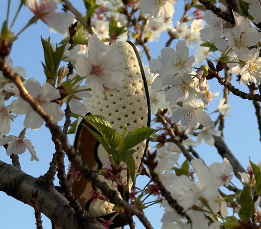 【參展紀實】2026日本Fashion World Tokyo：créer 邁向國際的第一步